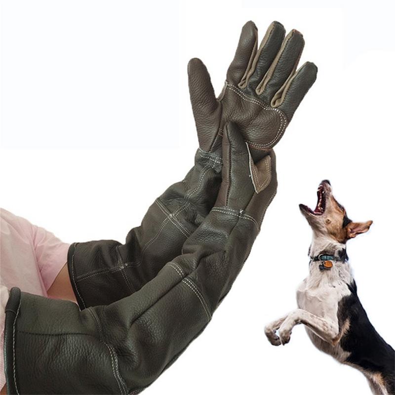 Garden Gloves - Rękawiczki dla zwierząt Skóra bydlęca Rękawiczki