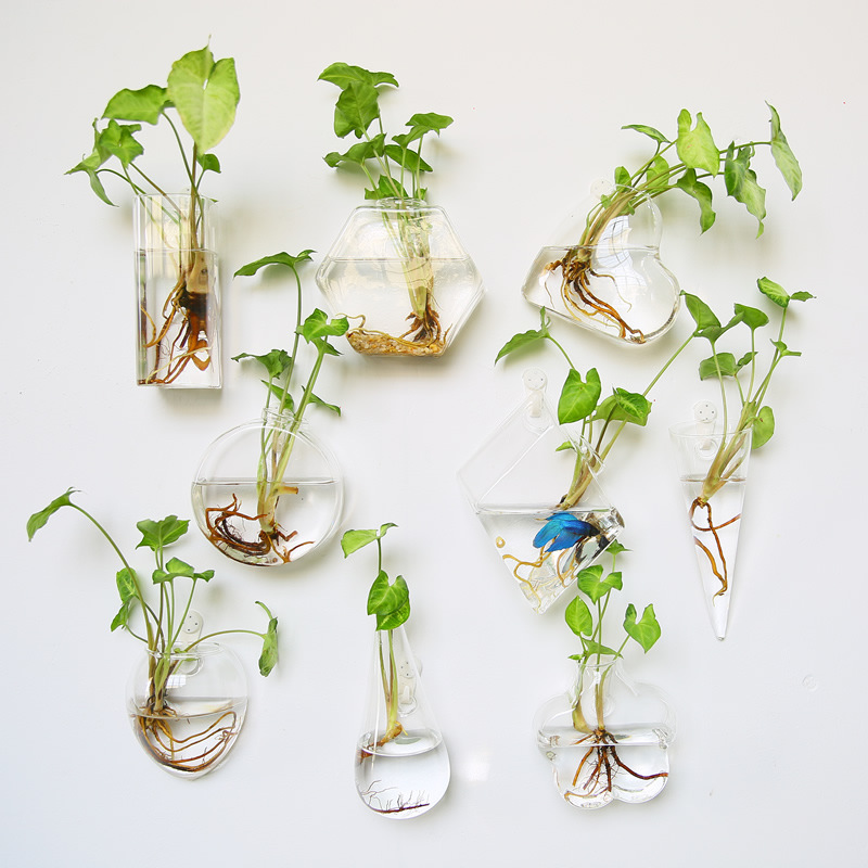 Self Watering Planter - Szklane terrarium wiszące na ścianę -