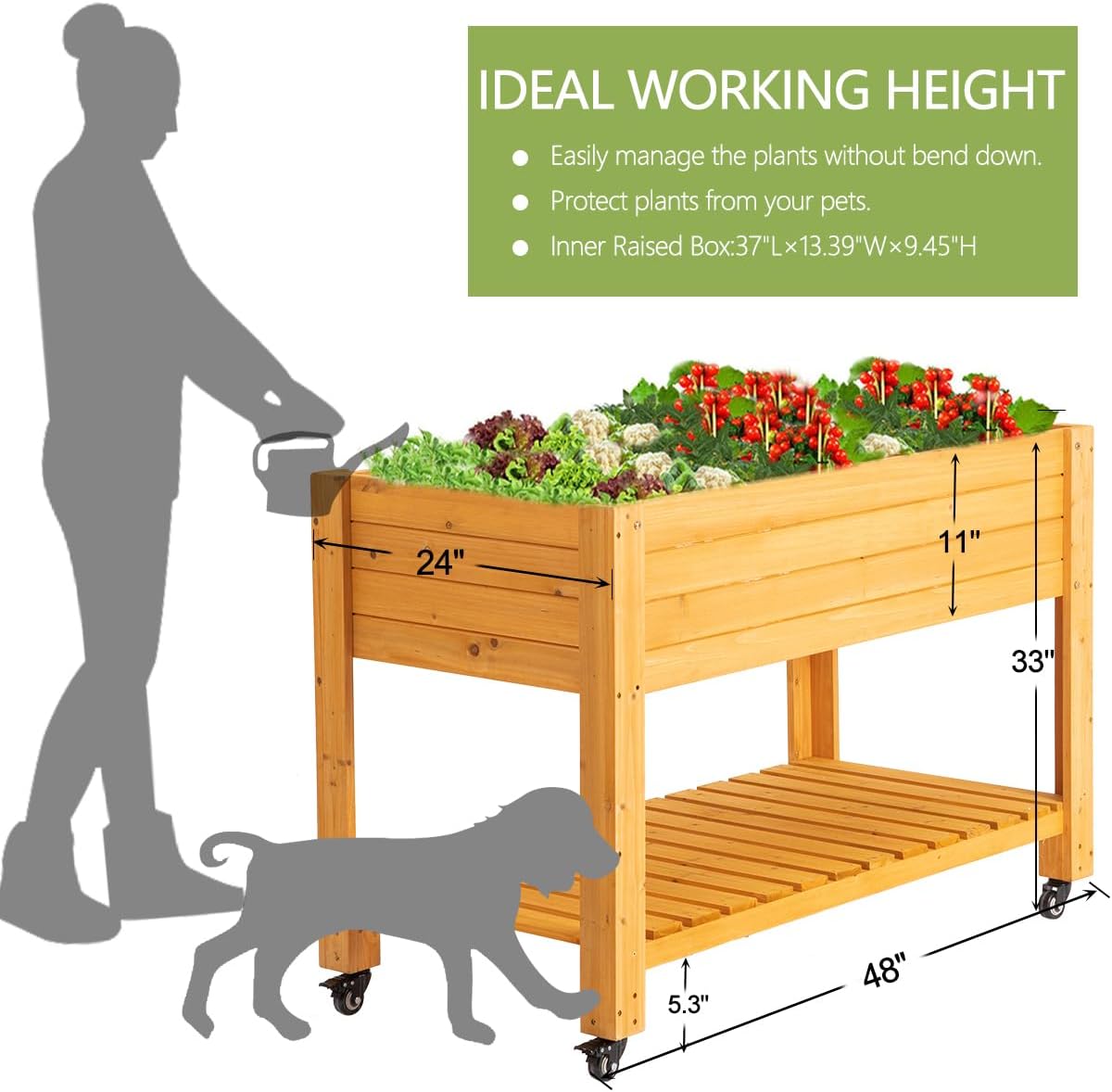 Mobilna drewniana podwyższona  – Raised Garden Bed recenzja i cena