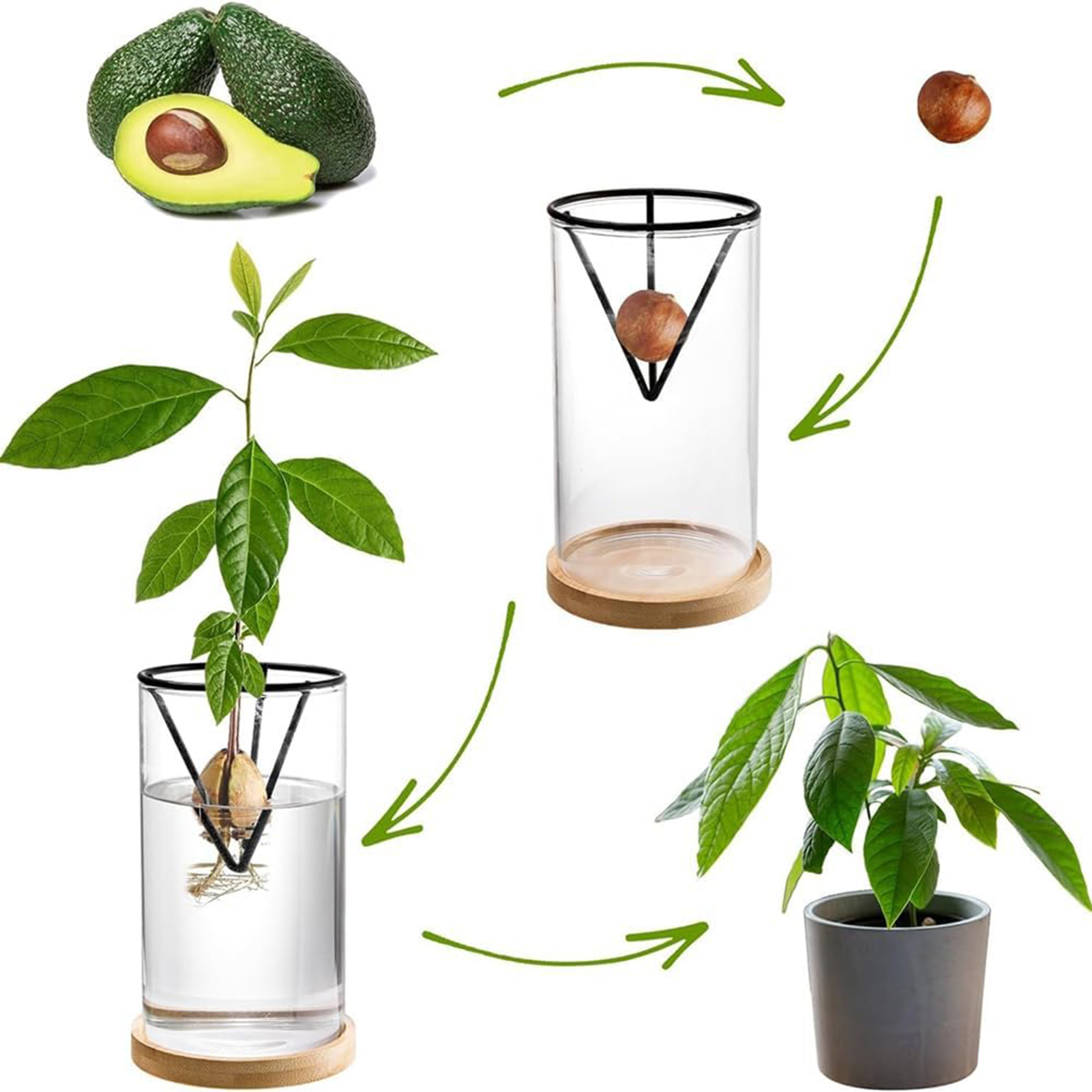 1 zestaw zestawów do uprawy dr – Hydroponic Kit recenzja i cena