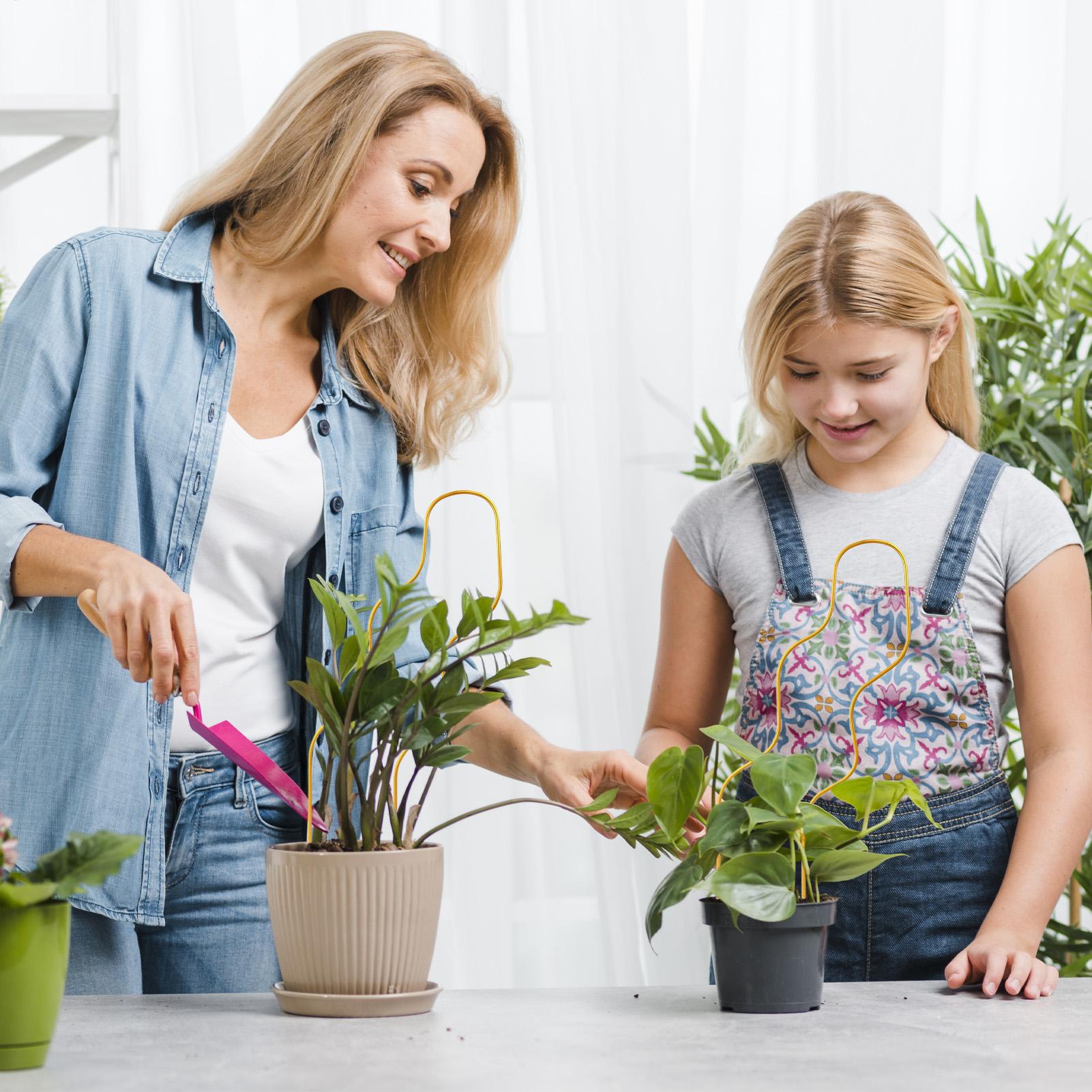 Siatka do roślin doniczkowych  – Raised Garden Bed recenzja i cena