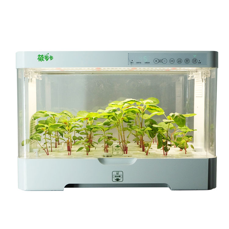 Mała, inteligentna, plastikowa – Hydroponic Kit recenzja i cena