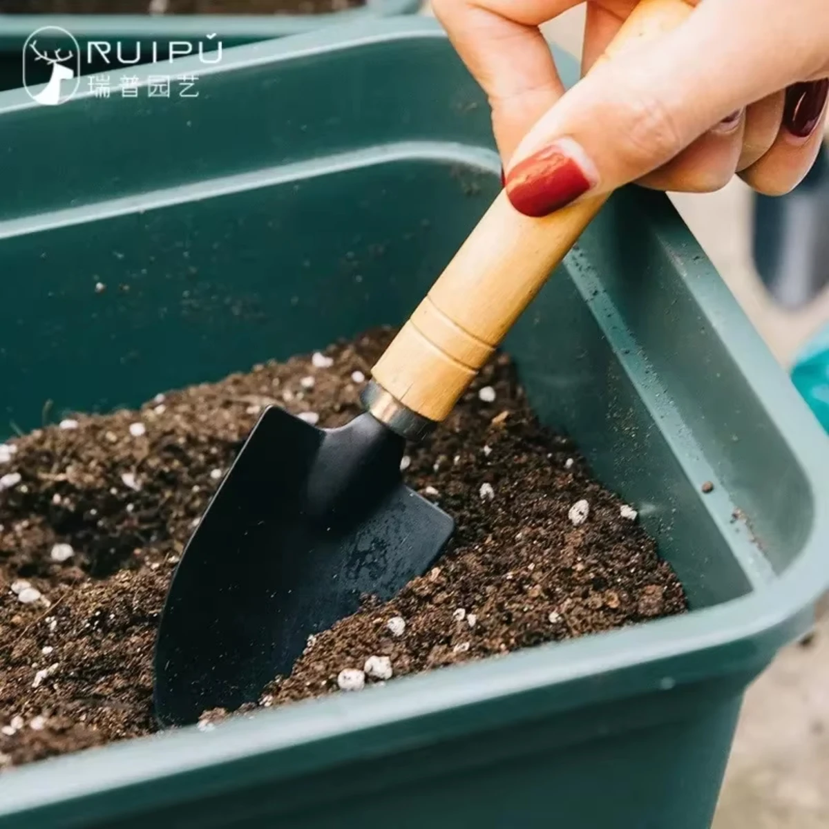 3 szt./zestaw Mini Zestaw Narz – Indoor Herb Garden recenzja i cena