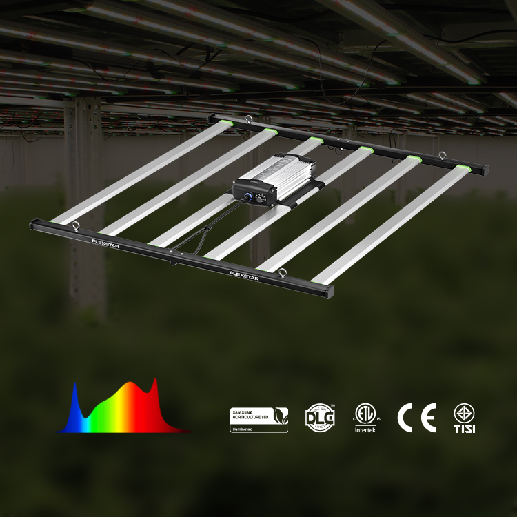Światło LED do uprawy roślin F – Grow Light Led recenzja i cena