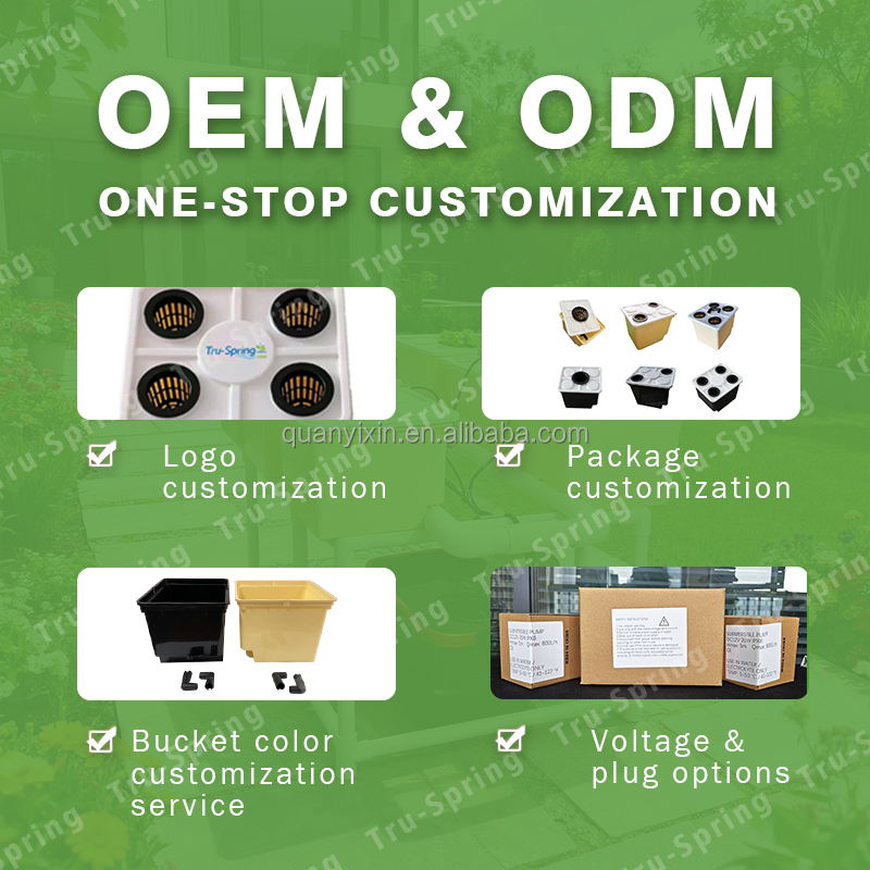 Zestaw do hydroponiki Dutch Bu – Hydroponic Kit recenzja i cena