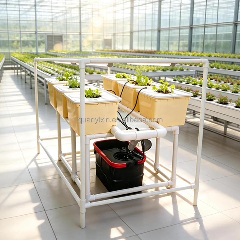 Zestaw do hydroponiki Dutch Bu – Hydroponic Kit recenzja i cena
