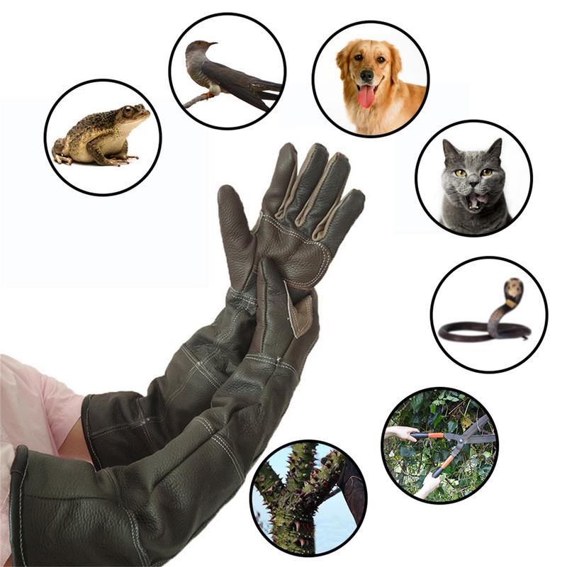 Rękawiczki dla zwierząt Skóra  – Garden Gloves recenzja i cena