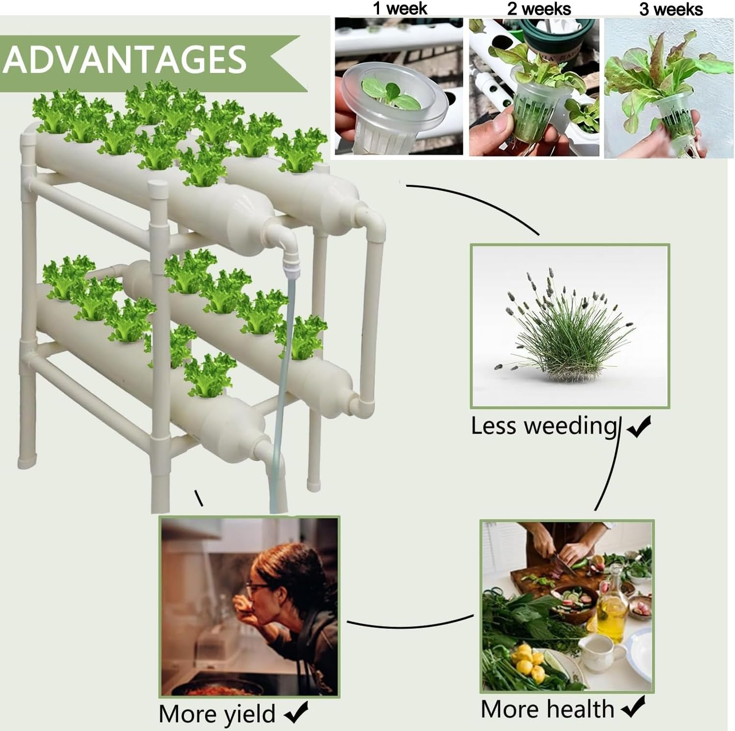 System hydroponiczny do uprawy – Hydroponic Kit recenzja i cena