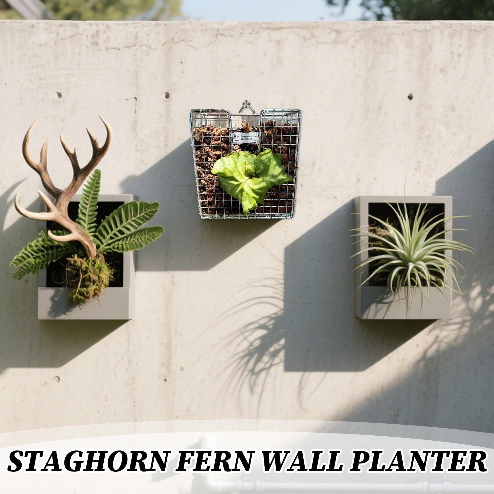 Zestaw do montażu paproci jele – Vertical Planter recenzja i cena