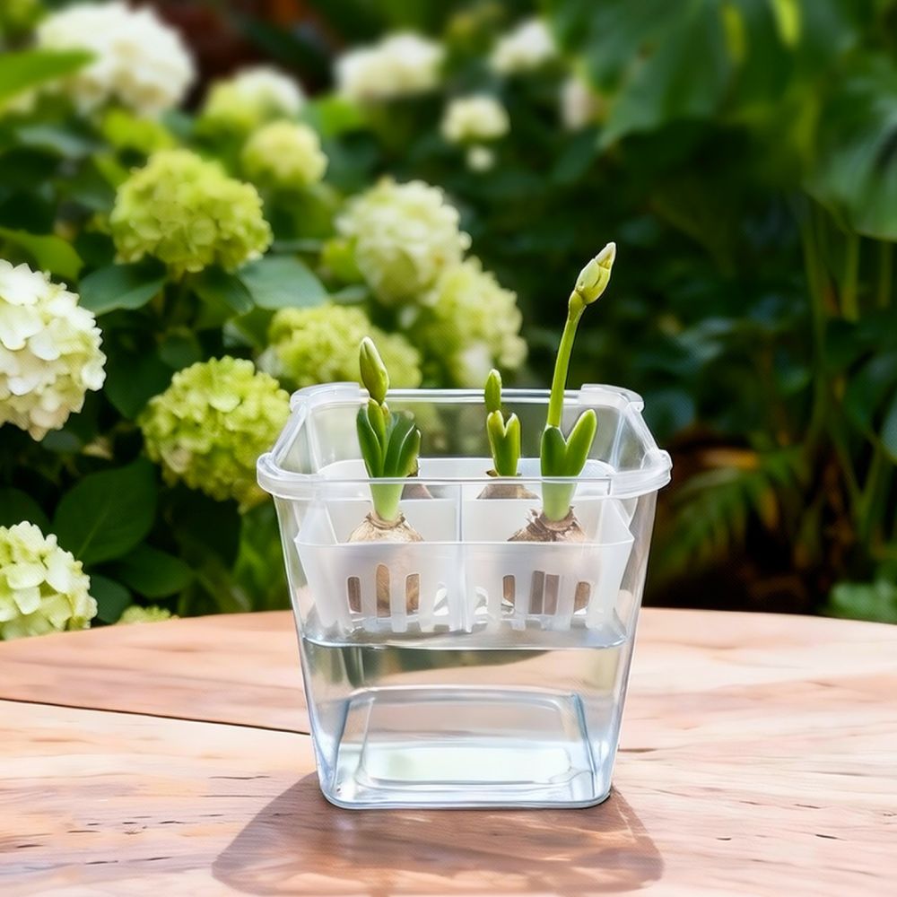 Wazon do uprawy tulipanów i li – Plant Pot recenzja i cena