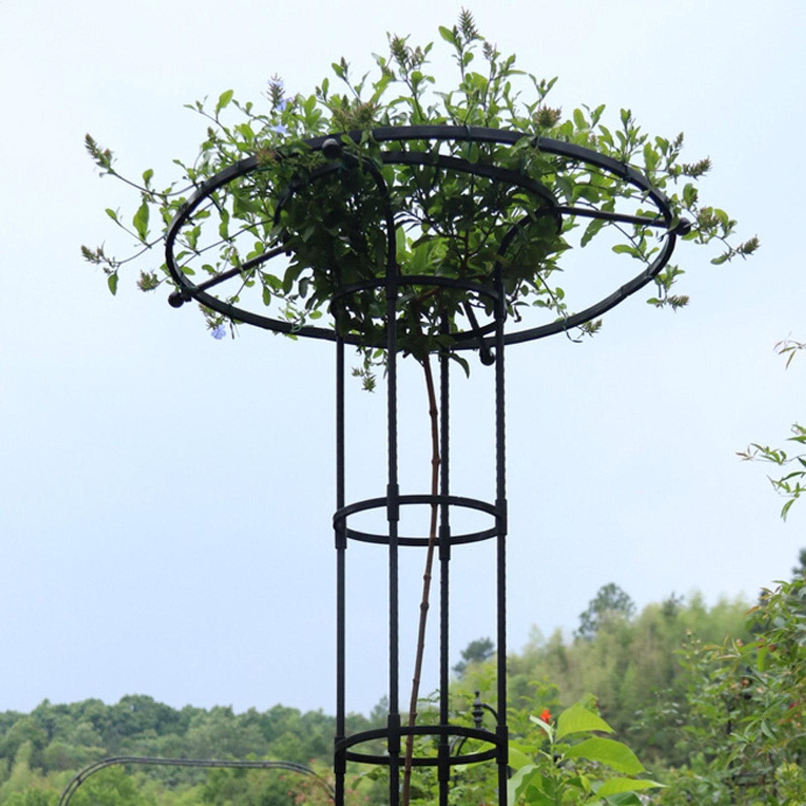 Wspornik ogrodowy w kształcie  – Vertical Planter recenzja i cena