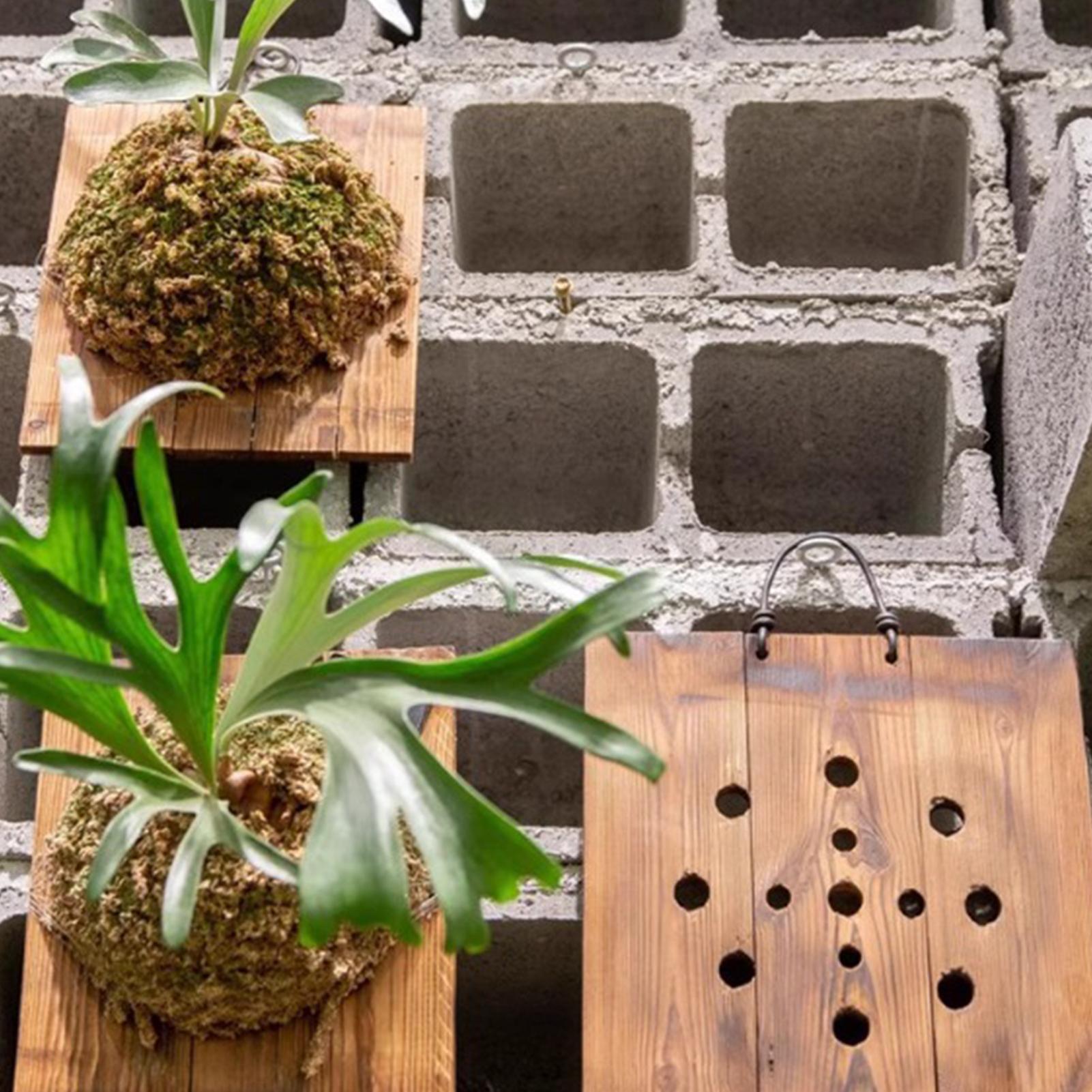 1 szt. Wewnętrzna Drewniana Ta – Vertical Planter recenzja i cena