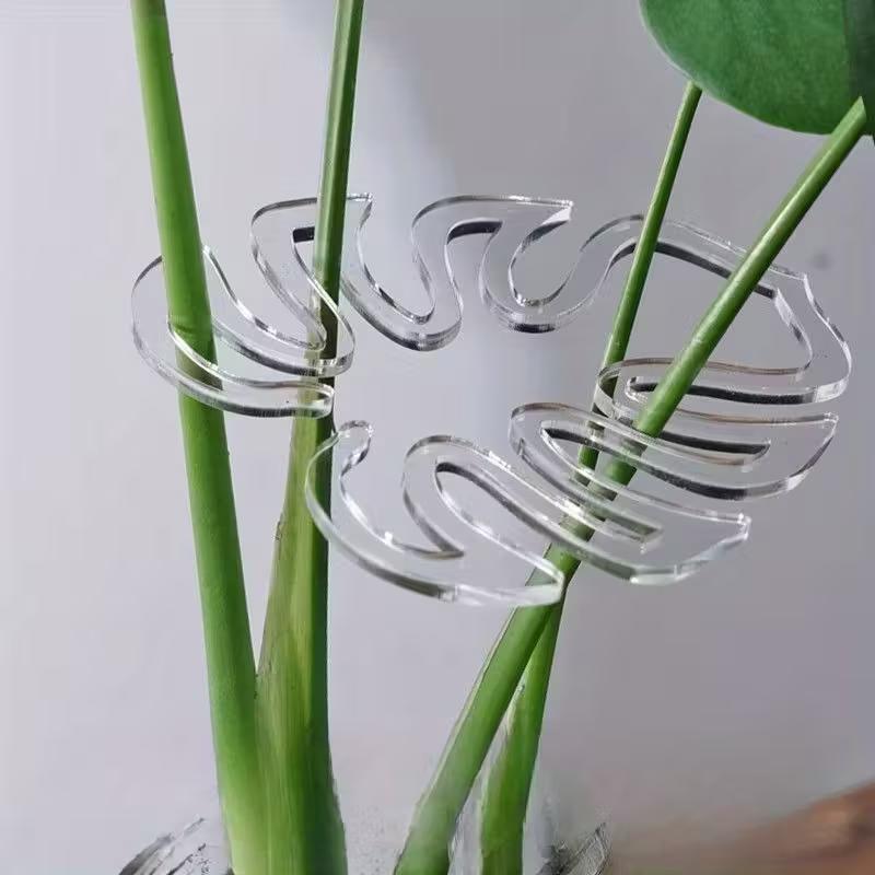 10 sztuk przezroczystych, elas – Indoor Herb Garden recenzja i cena