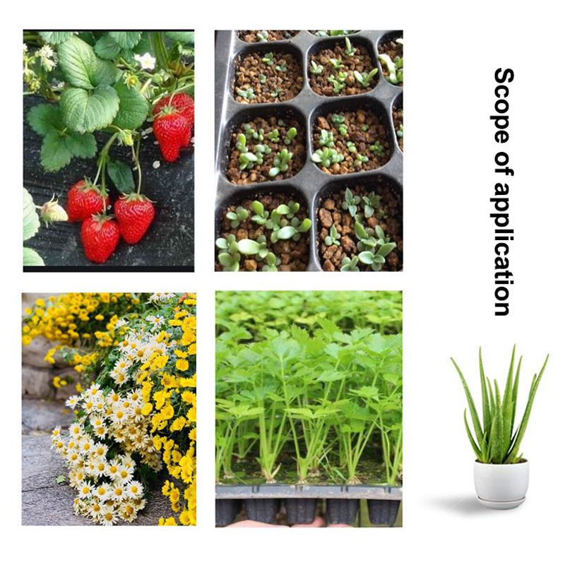 Gorąca oferta 10 szt. plastiko – Seed Starter Tray recenzja i cena