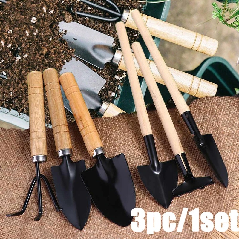3 szt./1 zestaw Mini Zestaw Na – Indoor Herb Garden recenzja i cena