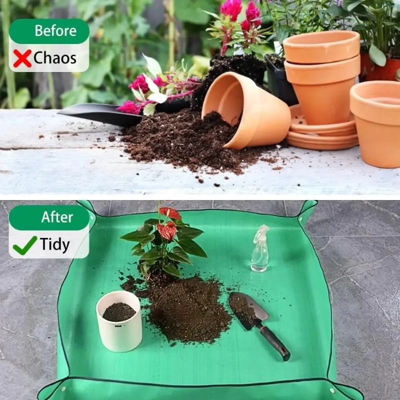 3 szt./1 zestaw Mini Zestaw Na – Indoor Herb Garden recenzja i cena