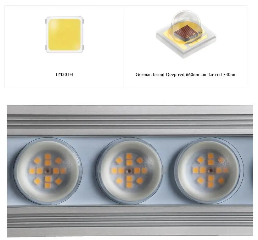 Koray 900W Wewnętrzna lampa do – Grow Light Led recenzja i cena