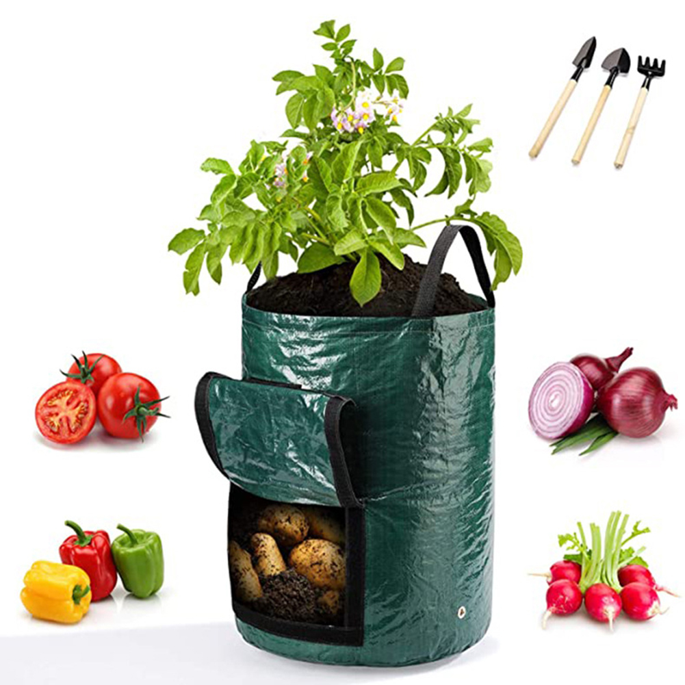 1 szt. 10-galonowe worki do up – Grow Bag recenzja i cena